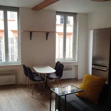 Apartment Spacieux Deux Pieces Capitole *